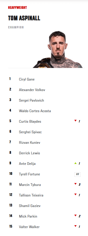 Ranking UFC kategoria ciężka. Marcin Tybura spada na 11. miejsce